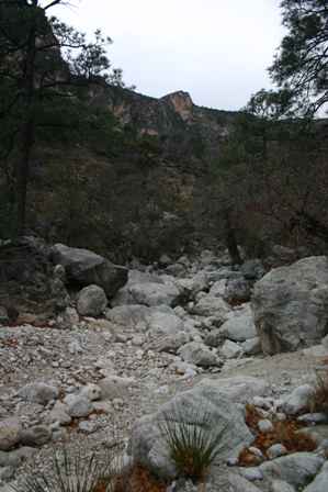 dry wash, devil's hall trail, guadalupe mountains