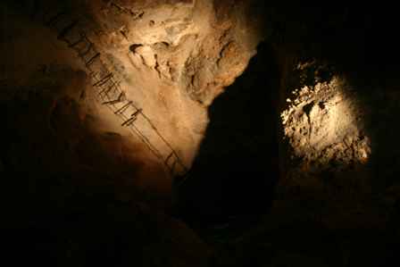 Old Ladder into Lower Cave, Carlsbad Caverns