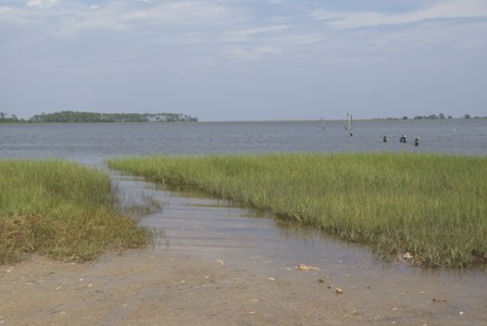 Panacea Florida